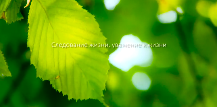 zoty中欧体育集团形象片（русский）