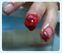 zoty中欧·(中国有限公司)官方网站