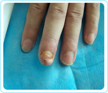 zoty中欧·(中国有限公司)官方网站