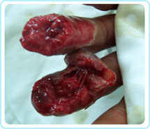 zoty中欧·(中国有限公司)官方网站