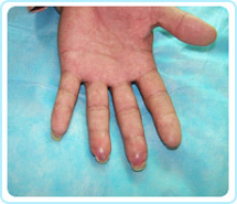 zoty中欧·(中国有限公司)官方网站