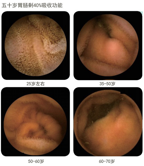 zoty中欧·(中国有限公司)官方网站