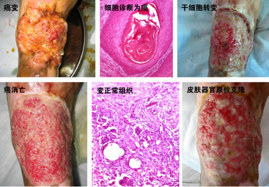 zoty中欧·(中国有限公司)官方网站