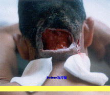 zoty中欧·(中国有限公司)官方网站