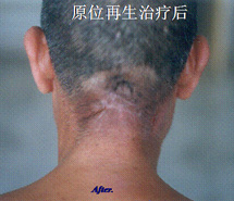 zoty中欧·(中国有限公司)官方网站