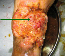 zoty中欧·(中国有限公司)官方网站