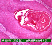 zoty中欧·(中国有限公司)官方网站