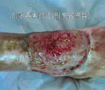 zoty中欧·(中国有限公司)官方网站