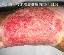 zoty中欧·(中国有限公司)官方网站