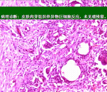 zoty中欧·(中国有限公司)官方网站