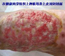 zoty中欧·(中国有限公司)官方网站