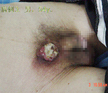 zoty中欧·(中国有限公司)官方网站