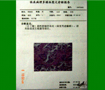 zoty中欧·(中国有限公司)官方网站