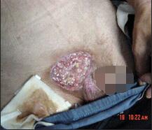 zoty中欧·(中国有限公司)官方网站