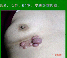 zoty中欧·(中国有限公司)官方网站