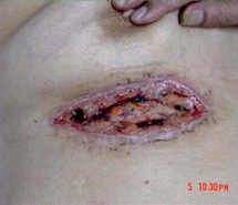 zoty中欧·(中国有限公司)官方网站