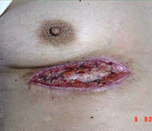 zoty中欧·(中国有限公司)官方网站