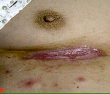 zoty中欧·(中国有限公司)官方网站