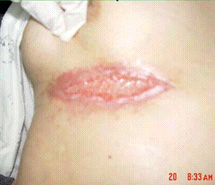 zoty中欧·(中国有限公司)官方网站