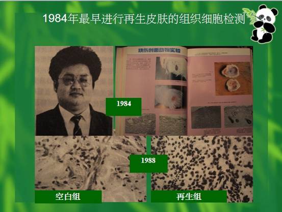 zoty中欧·(中国有限公司)官方网站