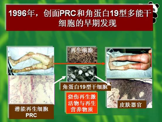 zoty中欧·(中国有限公司)官方网站