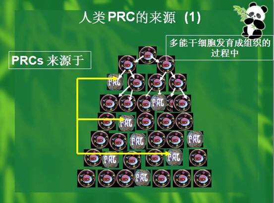 zoty中欧·(中国有限公司)官方网站