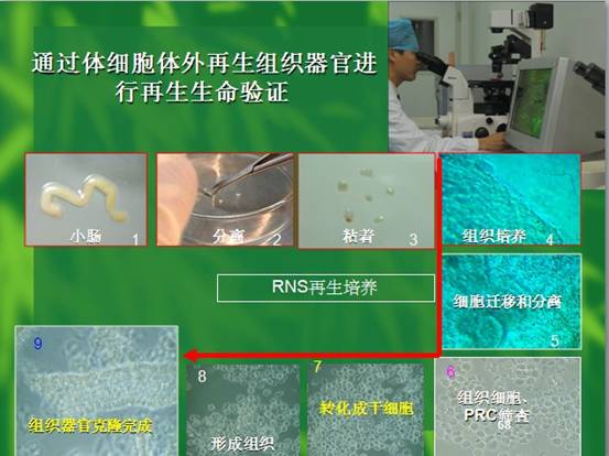 zoty中欧·(中国有限公司)官方网站