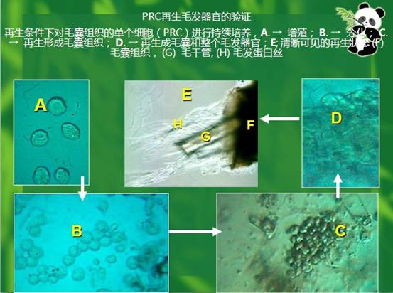 zoty中欧·(中国有限公司)官方网站