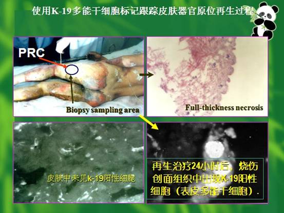 zoty中欧·(中国有限公司)官方网站