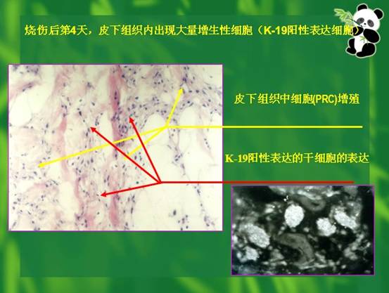 zoty中欧·(中国有限公司)官方网站