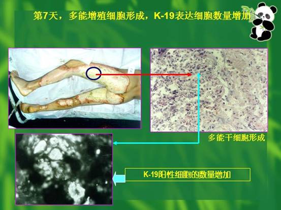 zoty中欧·(中国有限公司)官方网站