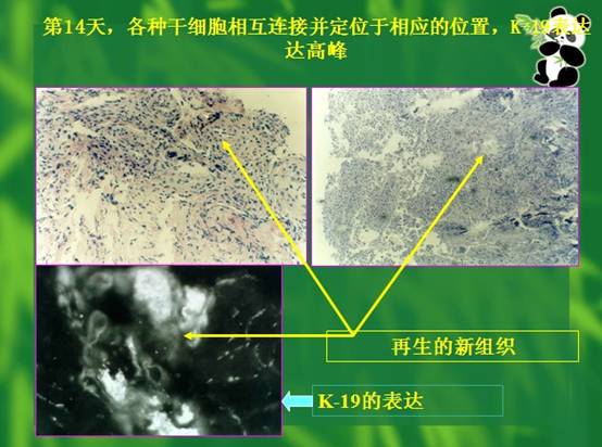 zoty中欧·(中国有限公司)官方网站