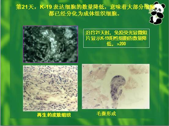 zoty中欧·(中国有限公司)官方网站