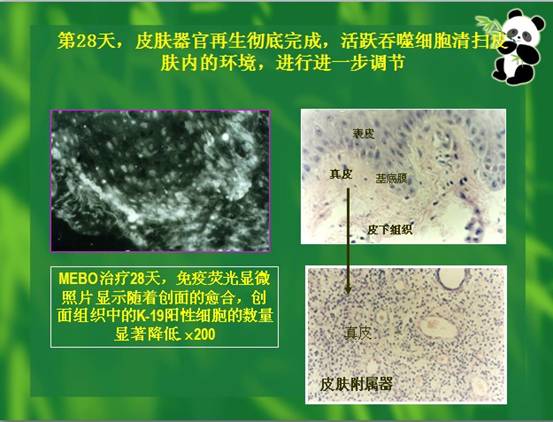 zoty中欧·(中国有限公司)官方网站