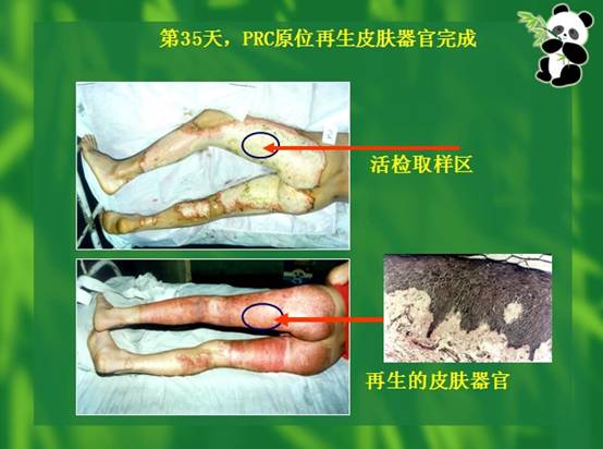 zoty中欧·(中国有限公司)官方网站