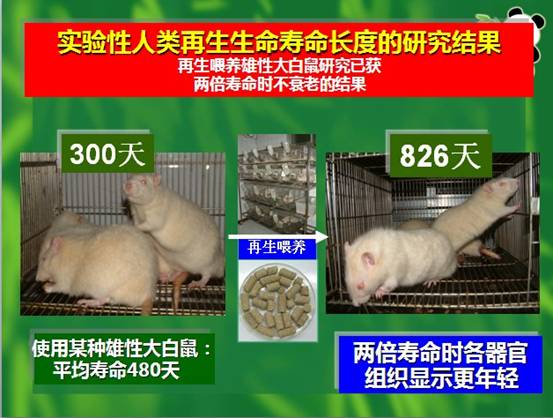 zoty中欧·(中国有限公司)官方网站