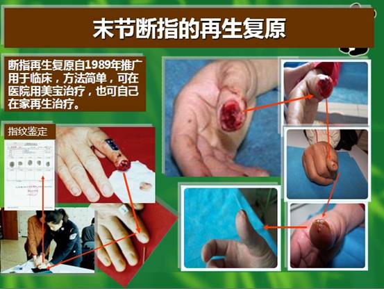 zoty中欧·(中国有限公司)官方网站