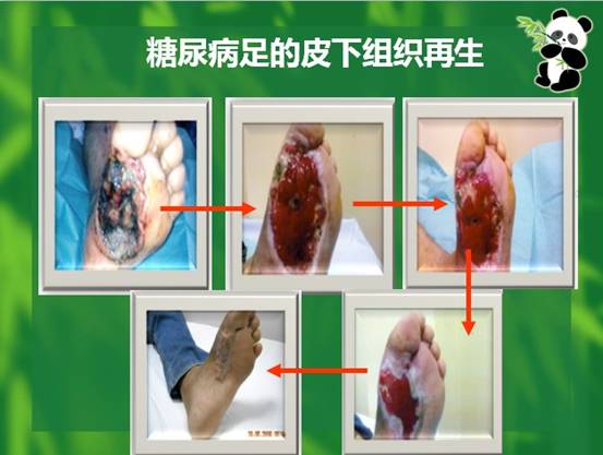 zoty中欧·(中国有限公司)官方网站