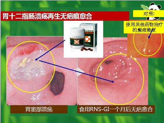 zoty中欧·(中国有限公司)官方网站
