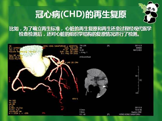 zoty中欧·(中国有限公司)官方网站