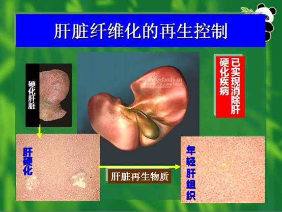 zoty中欧·(中国有限公司)官方网站