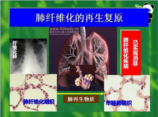 zoty中欧·(中国有限公司)官方网站