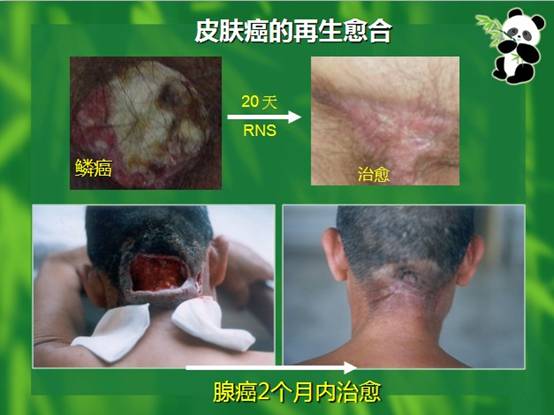 zoty中欧·(中国有限公司)官方网站