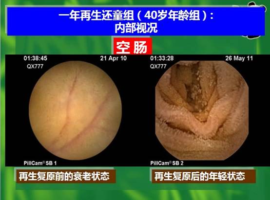 zoty中欧·(中国有限公司)官方网站