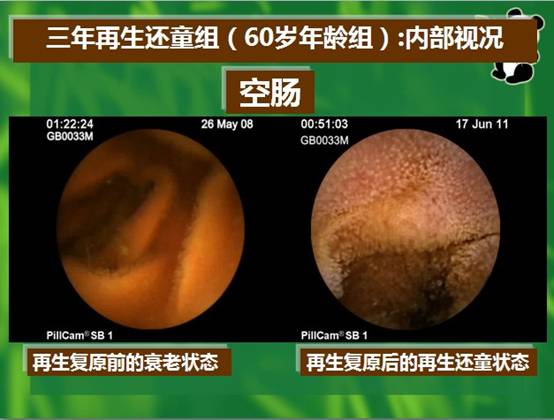 zoty中欧·(中国有限公司)官方网站