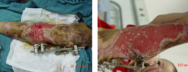 zoty中欧·(中国有限公司)官方网站