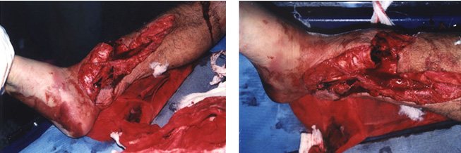 zoty中欧·(中国有限公司)官方网站