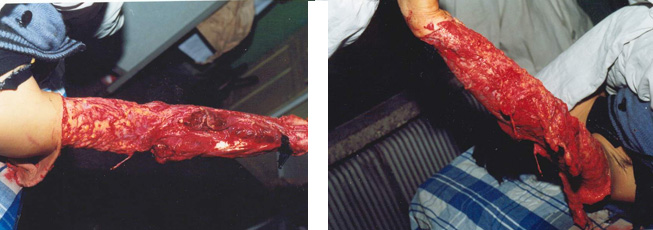 zoty中欧·(中国有限公司)官方网站