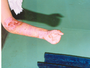 zoty中欧·(中国有限公司)官方网站