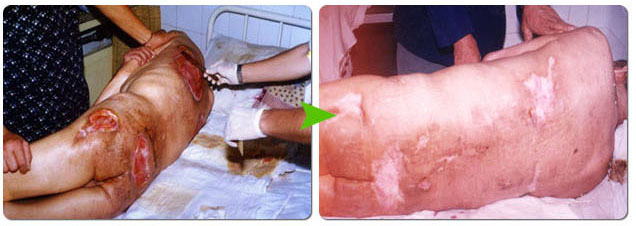 zoty中欧·(中国有限公司)官方网站